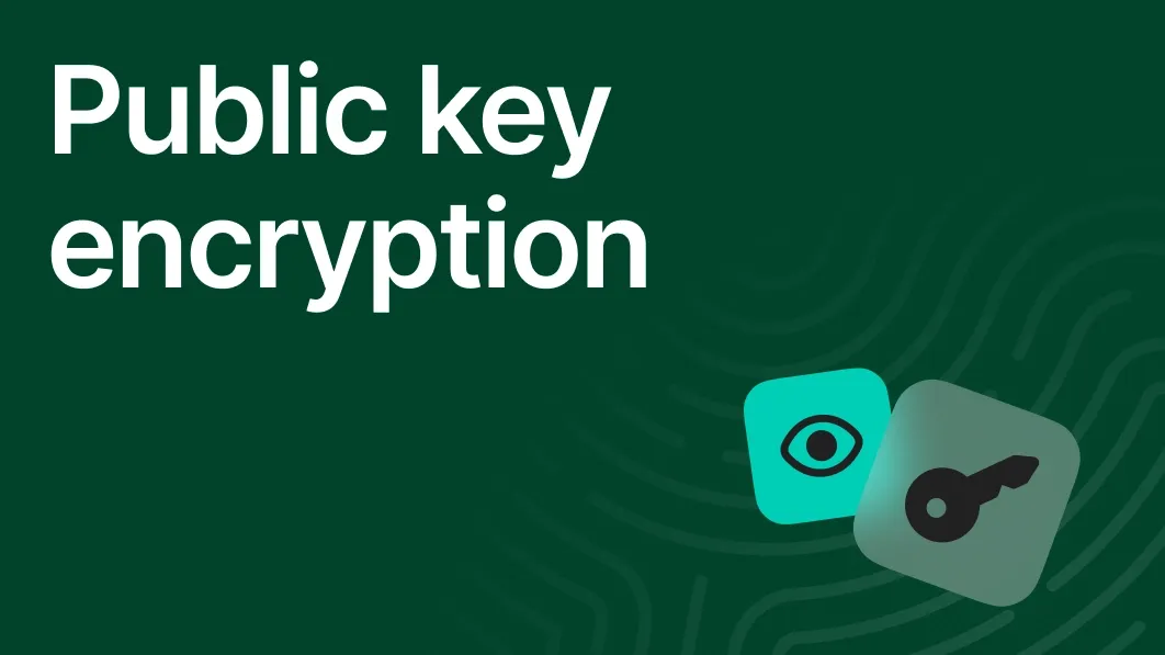 The words 'Public key encryption' in white text on a dark green background. Below the text are two square digital icons: one turquoise with an eye, and one light gray with a key.