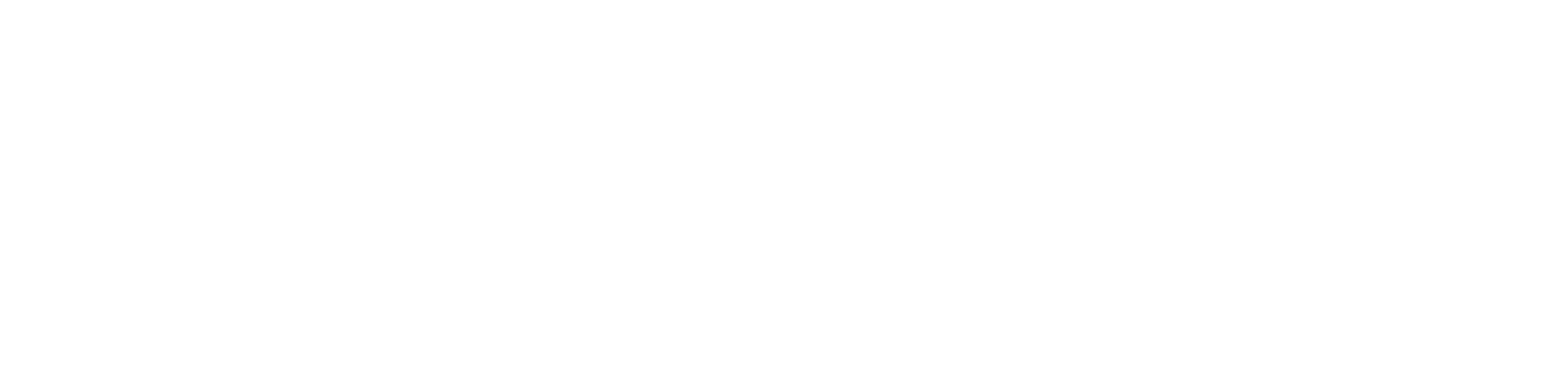 von pro logo white