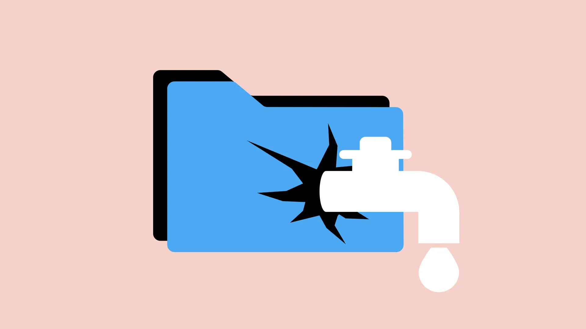 what is a data leak