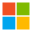 microsoft logo item