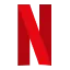 netflix logo item