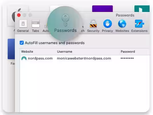 passwords icon Safari