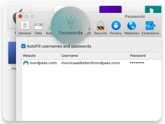 passwords icon Safari