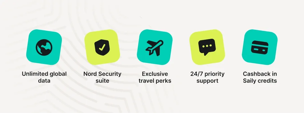 Globe for Unlimited global data Shield or Lock for Nord Security suite Airplane/Lounge chair for Exclusive travel perks Chat bubble for 24/7 priority support Credit card with a percentage for Cashback in Saily credits